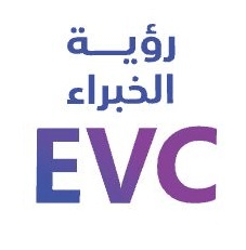 رؤية الخبراء 